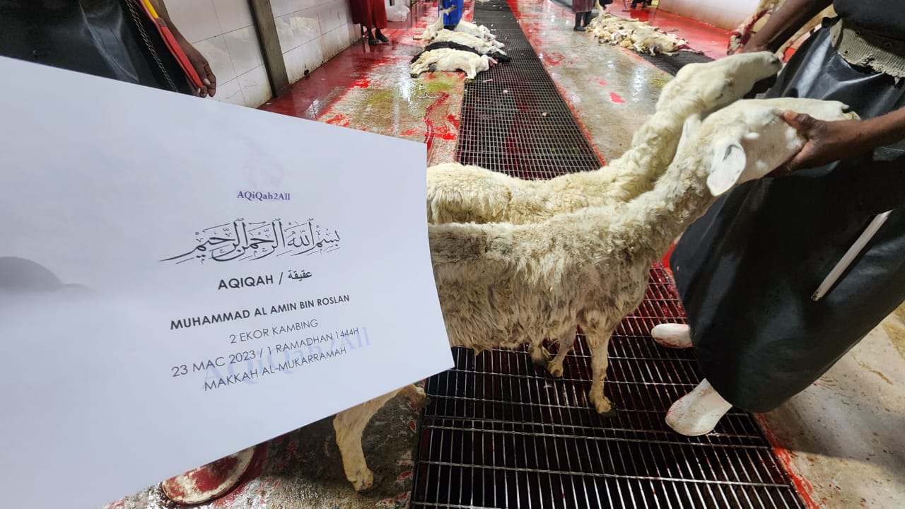 WhatsApp Image 2023-03-23 at 19.43.58