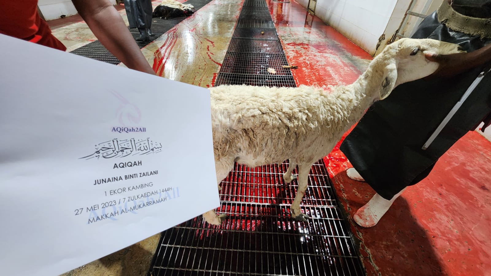 WhatsApp Image 2023-05-27 at 20.25.27