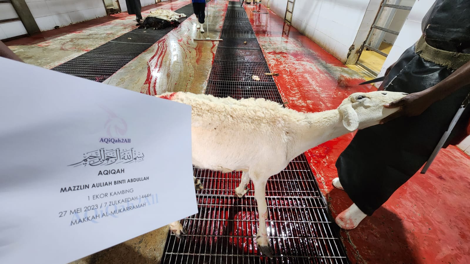 WhatsApp Image 2023-05-27 at 20.25.49