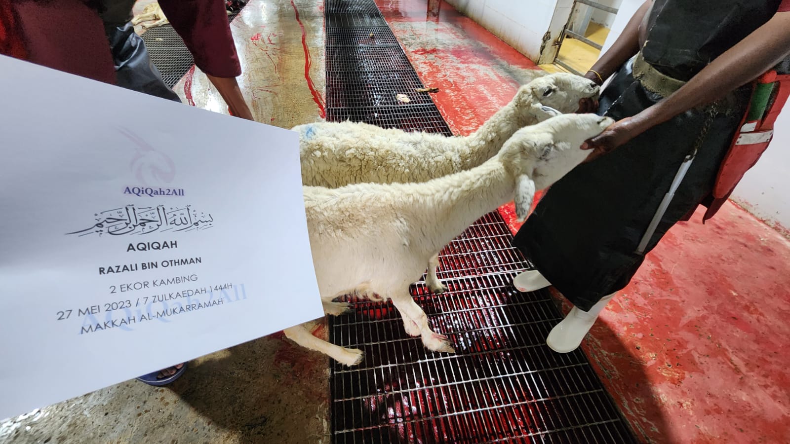 WhatsApp Image 2023-05-27 at 20.26.13