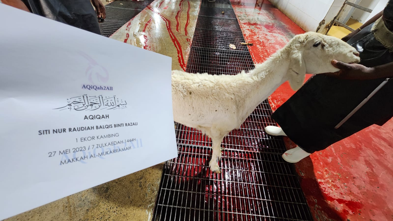 WhatsApp Image 2023-05-27 at 20.27.40