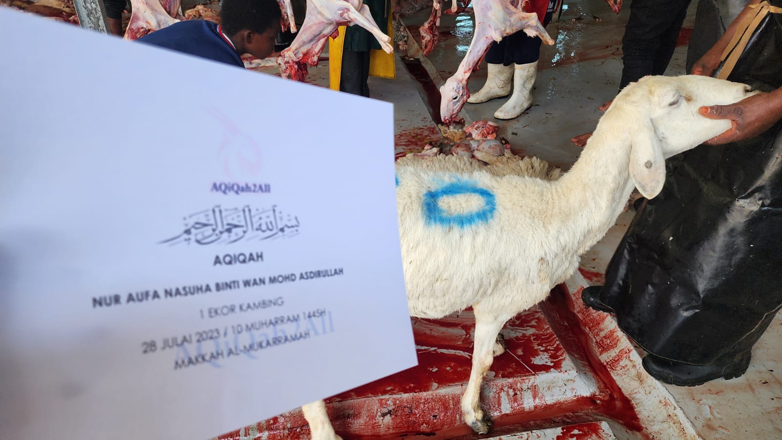 WhatsApp Image 2023-07-28 at 22.08.46