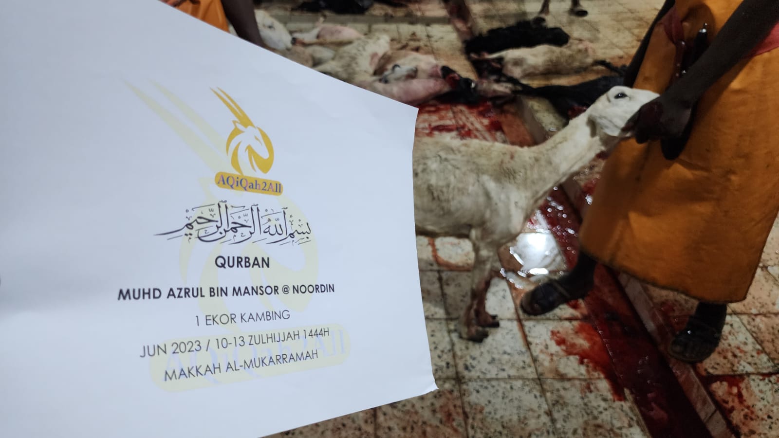 WhatsApp Image 2023-07-01 at 17.36.55