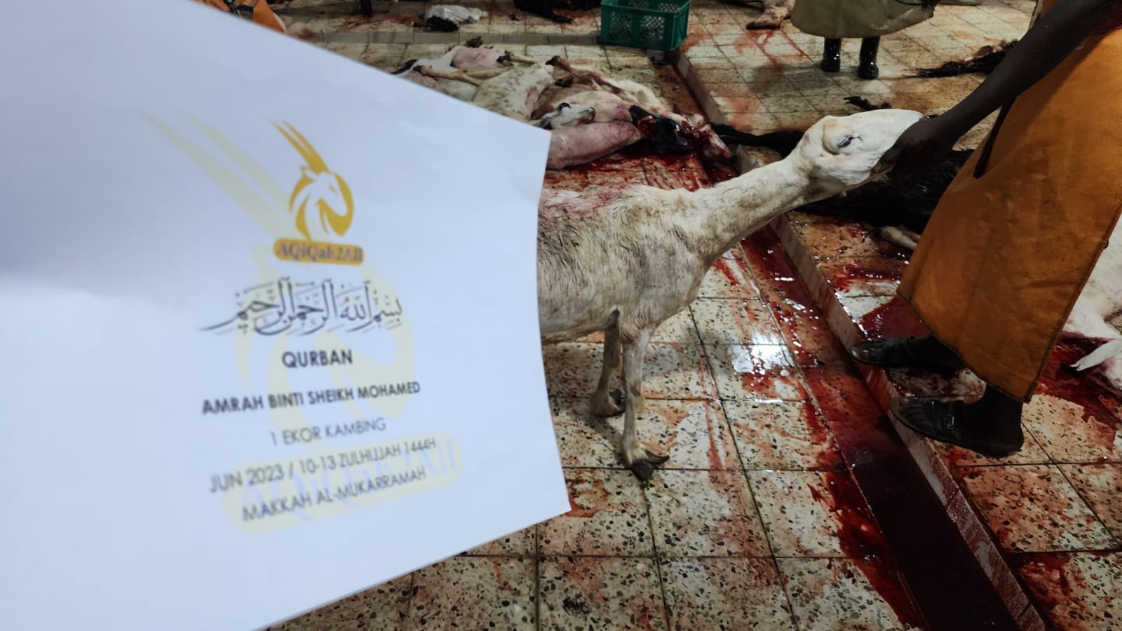 WhatsApp Image 2023-07-01 at 17.37.59